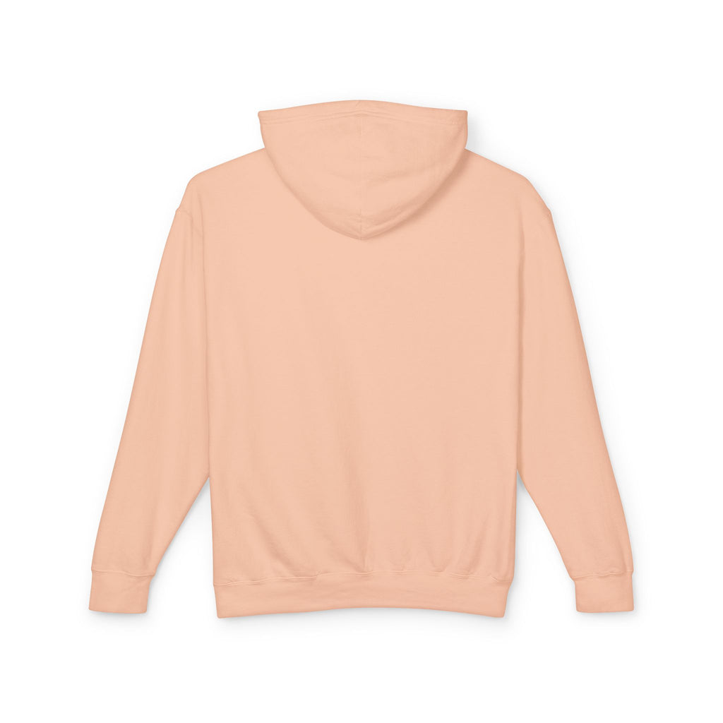 Arizona Balloon Classic Hoodie