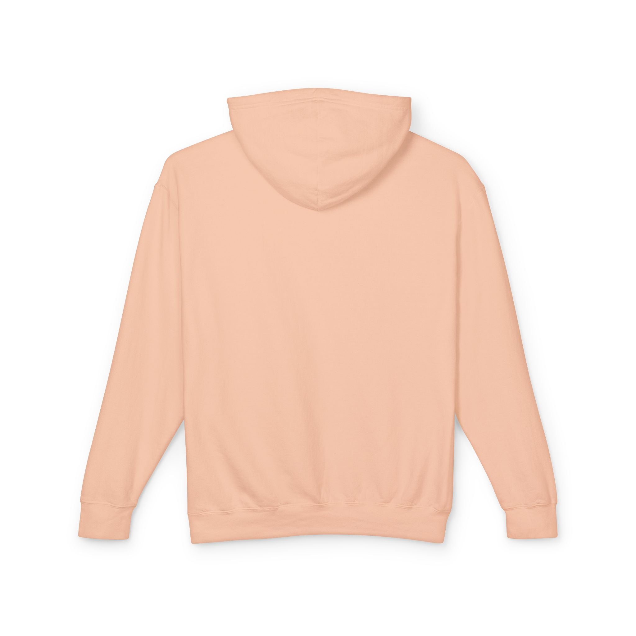 Arizona Balloon Classic Hoodie