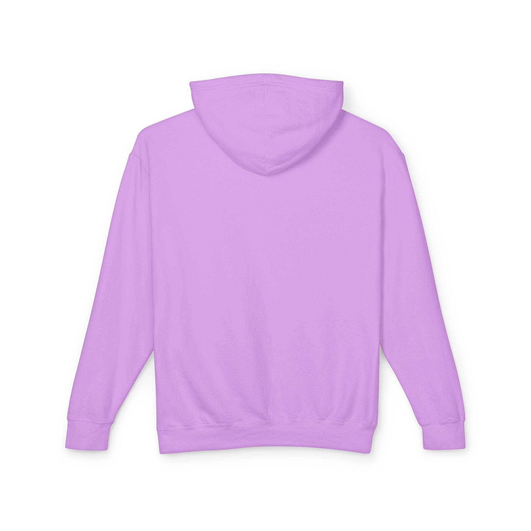 Arizona Balloon Classic Hoodie