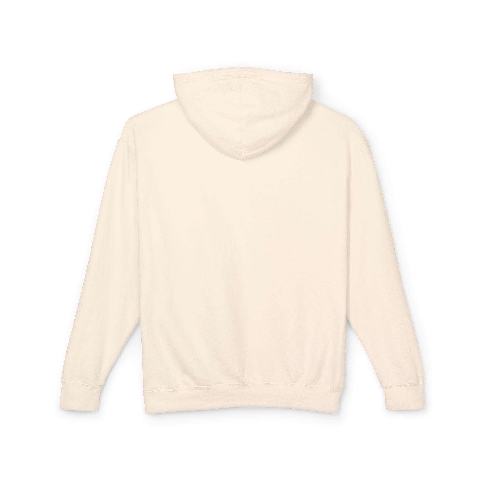Arizona Balloon Classic Hoodie
